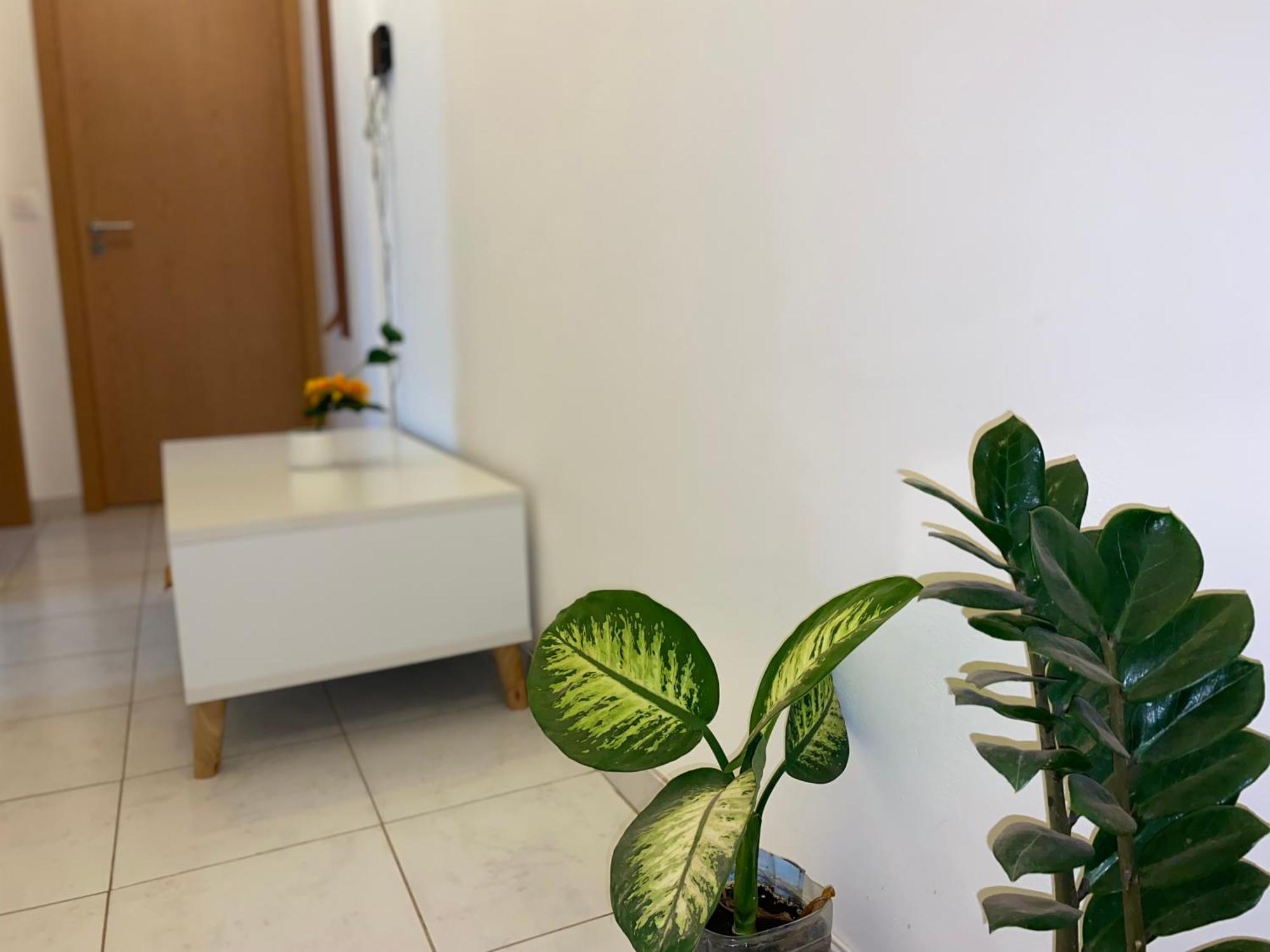 Apartamento T2 Equipado E Aconchegante. Praia Eksteriør bilde